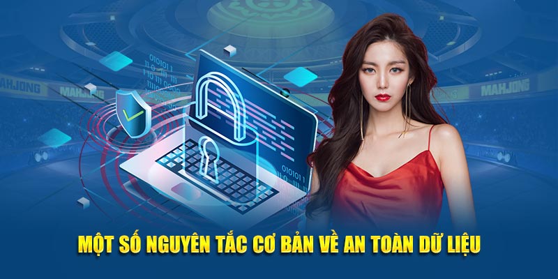 Một số nguyên tắc cơ bản về an toàn dữ liệu