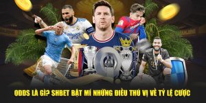 Odds Là Gì? Shbet Bật Mí Những Điều Thú Vị Về Tỷ Lệ Cược