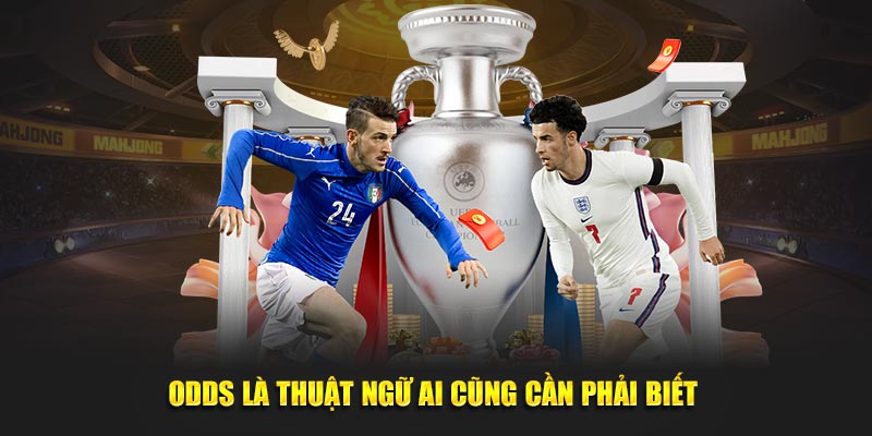 Odds là thuật ngữ ai cũng cần phải biết 